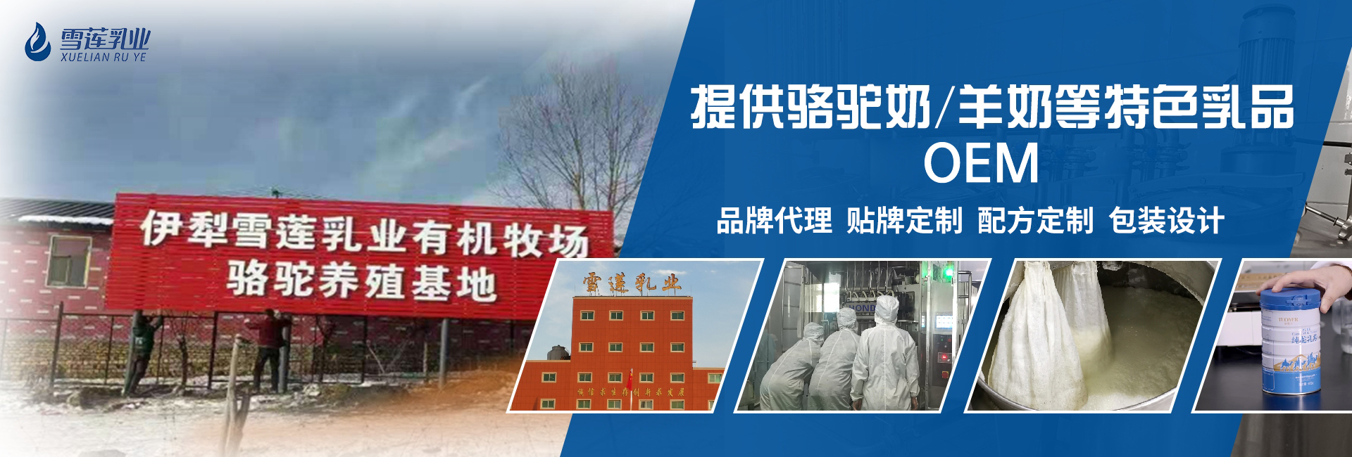 骆驼奶粉厂家