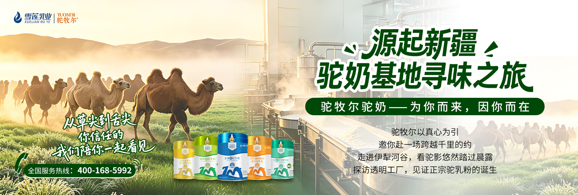 溯源之旅