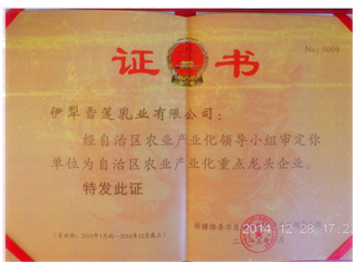 龙头企业