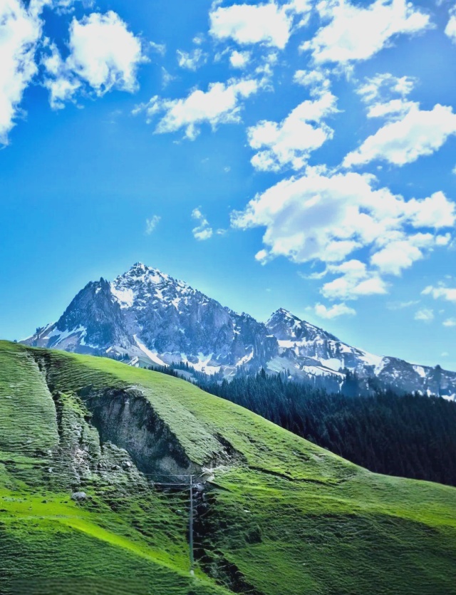 1757332236715545.jpg 1.jpg