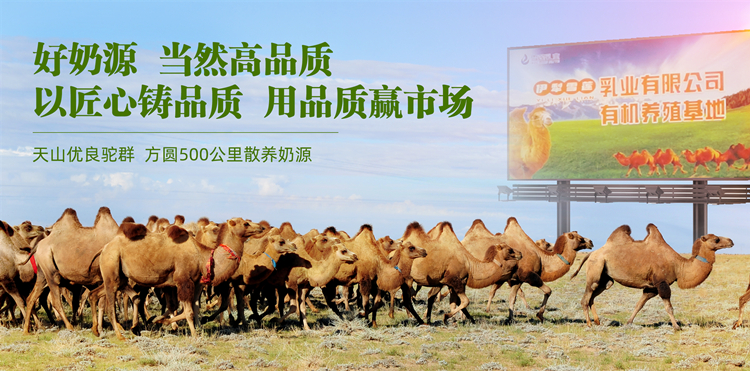5-18招商驼牧尔_副本.jpg