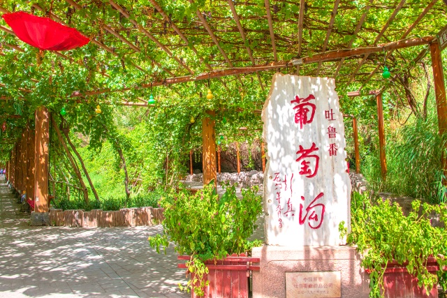葡萄沟.jpg